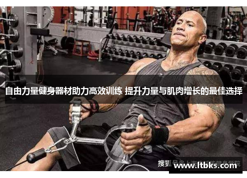 自由力量健身器材助力高效训练 提升力量与肌肉增长的最佳选择