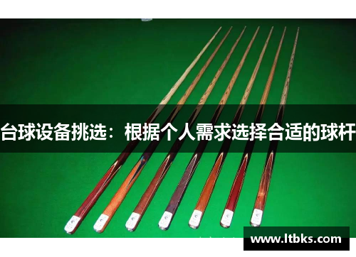 台球设备挑选：根据个人需求选择合适的球杆
