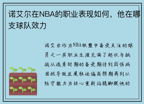 诺艾尔在NBA的职业表现如何，他在哪支球队效力