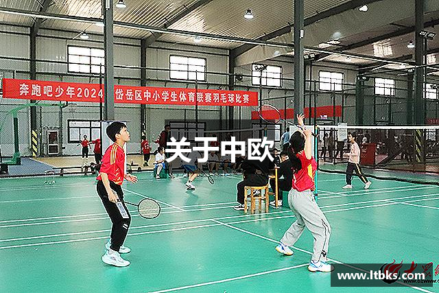 关于中欧